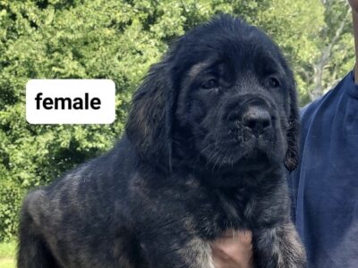 Female #2